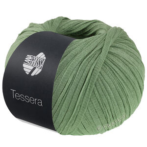 Lana Grossa TESSERA | 02-Jadegrün