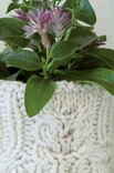 Lana Grossa STRICKHÜLLE Mille II