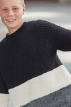 Lana Grossa PULLOVER Alta Moda Alpaca