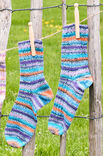 Lana Grossa HERRENSOCKEN Landlust die Sockenwolle