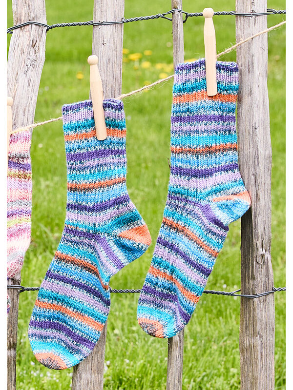 Lana Grossa HERRENSOCKEN Landlust die Sockenwolle