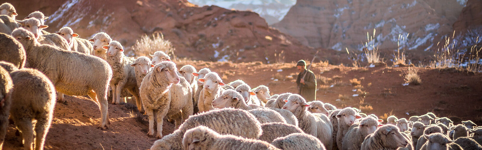 STRICKSETS IN BESTER QUALITÄT & KREATIVEN DESIGNS Stricksets bei FILATI kaufen