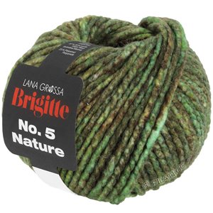 Lana Grossa BRIGITTE NO. 5 Nature | 103-Grün/Braun meliert