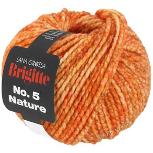 Lana Grossa BRIGITTE NO. 5 Nature | 105-Orange/Karamell meliert