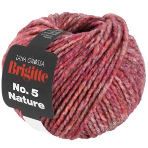 Lana Grossa BRIGITTE NO. 5 Nature | 106-Pink/Graubraun meliert