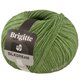 Lana Grossa BRIGITTE Silkdream | 19-Grün