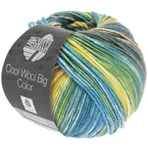 Lana Grossa COOL WOOL Big Color | 4020-Graugrün/Camel/Gelb/Ecru/Resedagrün/Petrol