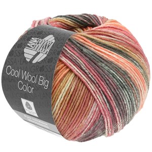 Lana Grossa COOL WOOL Big Color | 4021-Dunkelgrau/Magenta/Orangerot/Weinrot/Gelbbraun
