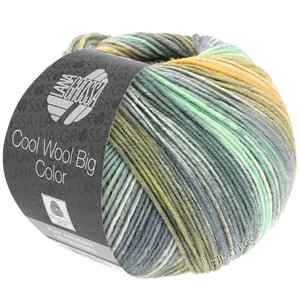 Lana Grossa COOL WOOL Big Color | 4025-Mint/Maisgelb/Ecru/Grau/Oliv/Khaki