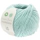 Lana Grossa FOURSEASON (Linea Pura) | 39-Mint