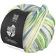 Lana Grossa GELATO | 06-