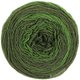 Lana Grossa GOMITOLO 200 Dégradé | 312-Dunkelgrün/Loden