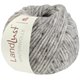Lana Grossa LANDLUST WINTERWOLLE Tweed | 106-Hellgrau meliert