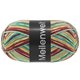 Lana Grossa MEILENWEIT 100g Cervinia | 1704-
