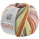 Lana Grossa MEILENWEIT 100g Seta Asia | 3175-