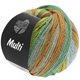 Lana Grossa MULTI | 08-Gelbgrün/Maisgelb/Türkisgrün/Khaki