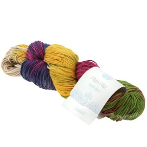 Lana Grossa PIMA FINE Hand-dyed | 709-Shahid