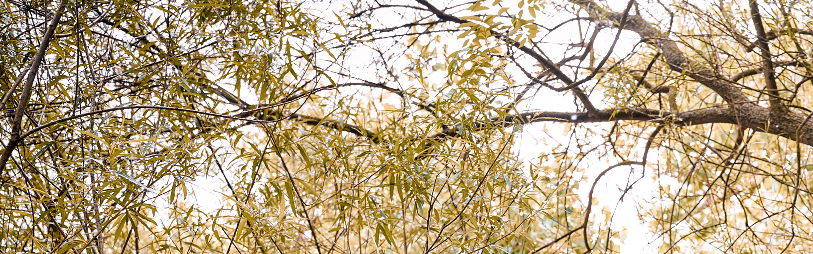 DIVERSE STRICKSETS IN BESTER QUALITÄT & KREATIVEN DESIGNS Stricksets bei FILATI kaufen<br>Damen | Pullis & Ponchos