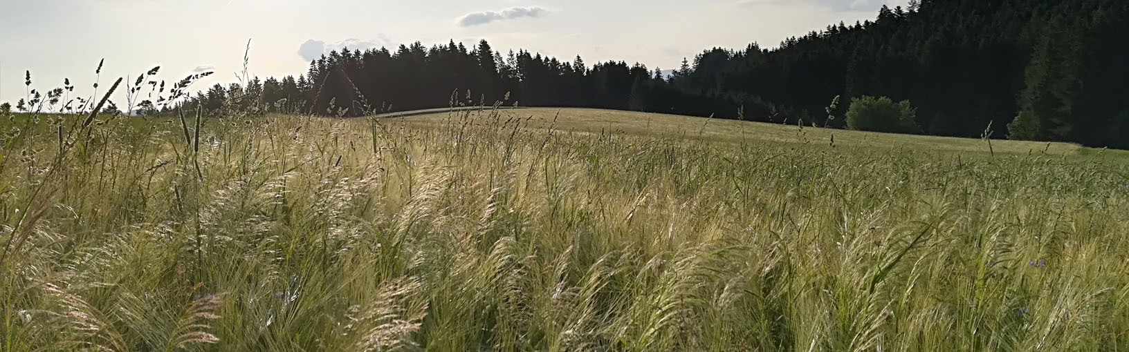 ENTDECKE JETZT STRICKANLEITUNGEN FÜR DEIN NÄCHSTES PROJEKT LANA GROSSA Strickanleitungen