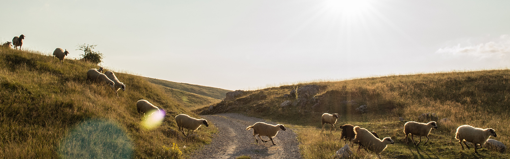 NACHHALTIGKEIT<br>UMWELTBEWUSSTSEIN
