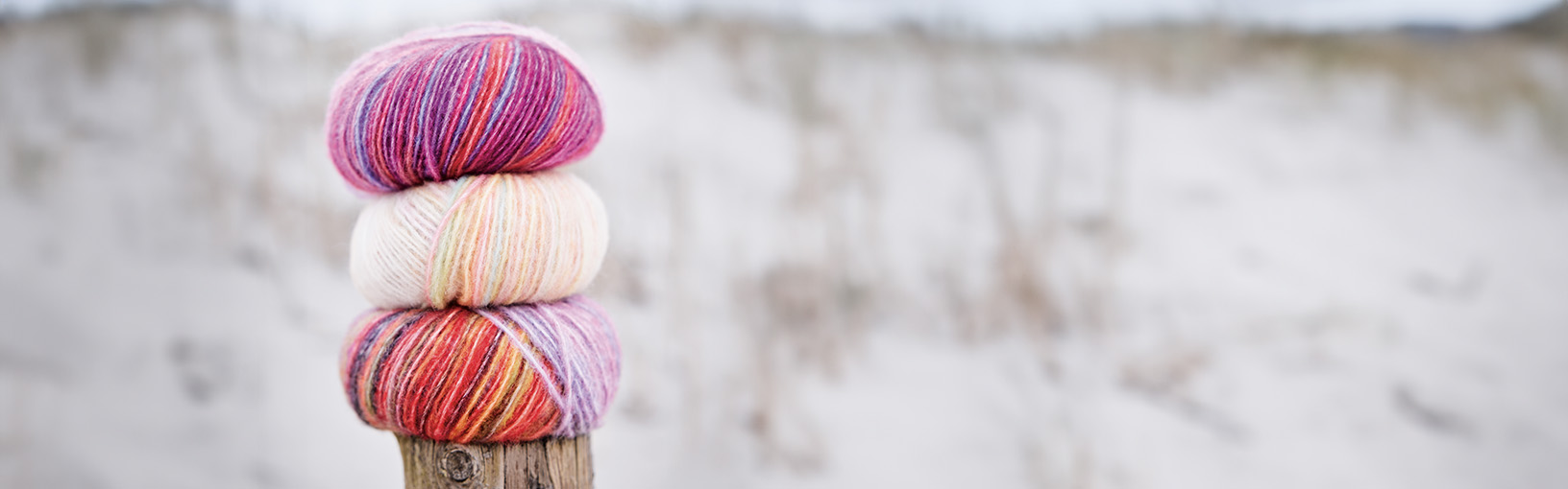 Das ist NEU! Herbst/Winter 2024/25