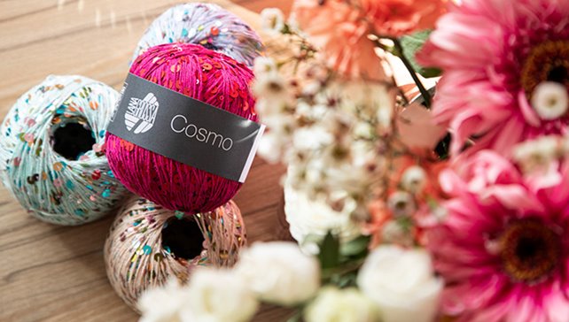 Star des Jahres: Cosmo 